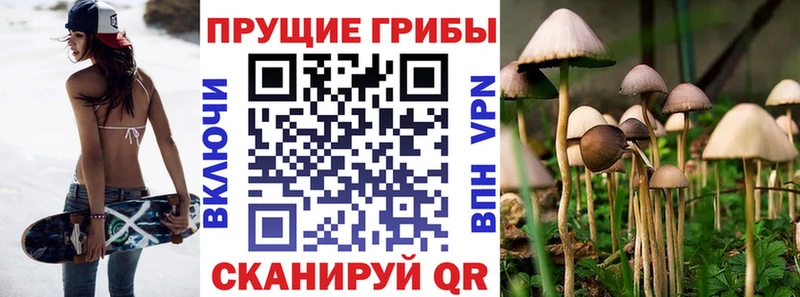 Галлюциногенные грибы Magic Shrooms  Сасово 
