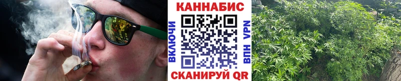 Каннабис сатива Сасово