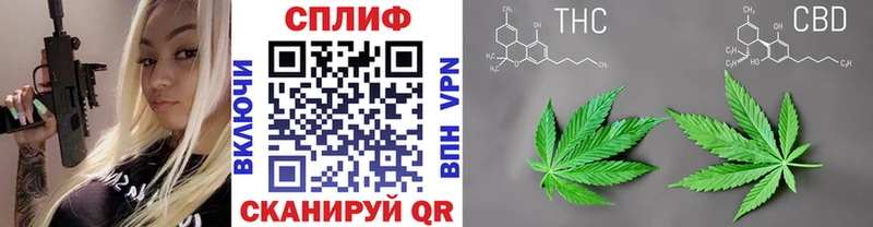 Бошки марихуана индика  Сасово 